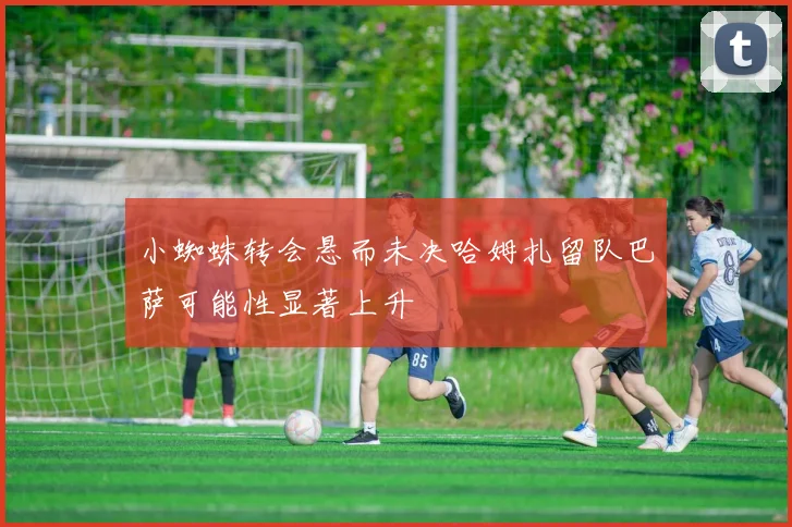 小蜘蛛转会悬而未决哈姆扎留队巴萨可能性显著上升