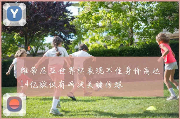 维蒂尼亚世界杯表现不佳身价高达14亿欧仅有两次关键传球