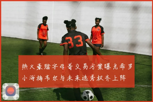 热火豪赌字母哥交易方案曝光希罗小海梅韦尔与未来选秀权齐上阵